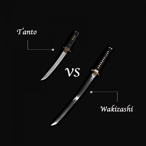 Wakizashi vs Tanto: What's the Difference?