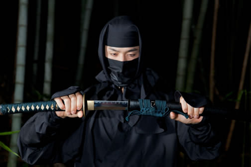 Ninjutsu (Art of Ninja Techniques)
